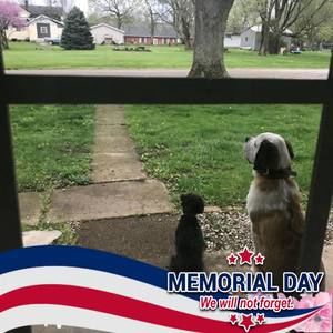 Meet your Posher, Channen